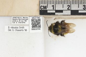 Media type: image;   Entomology 810744 Aspect: labels